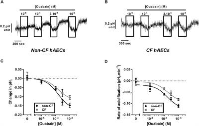 Esomeprazole Increases Airway Surface Liquid pH in Primary Cystic Fibrosis Epithelial Cells